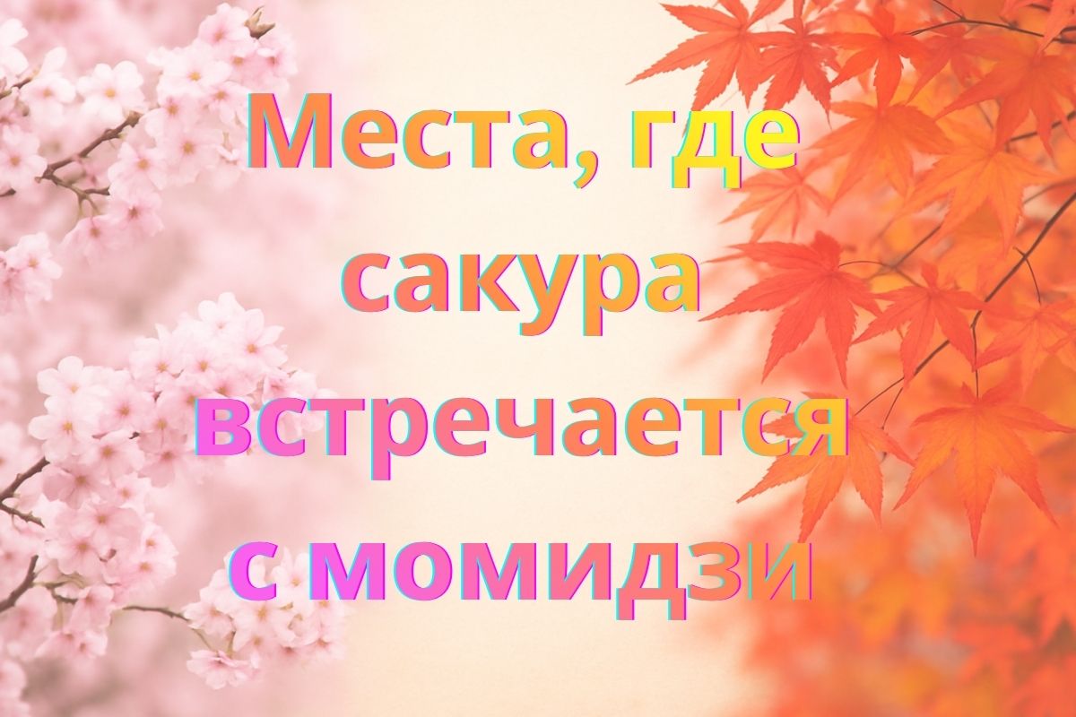 Топ-3 места в Японии, где можно увидеть сакуру и момидзи одновременно
