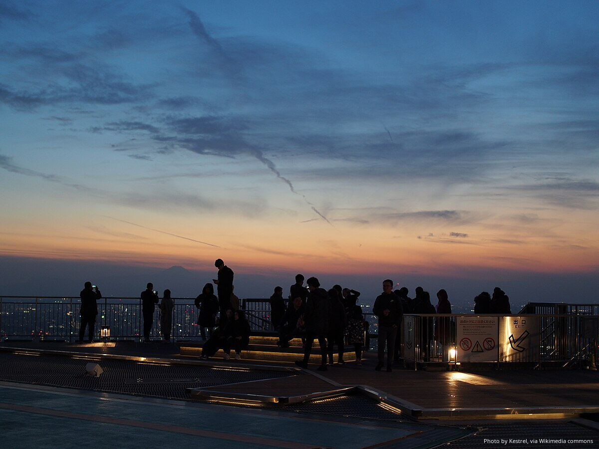 T-1 Экскурсия «Вечерний Токио»