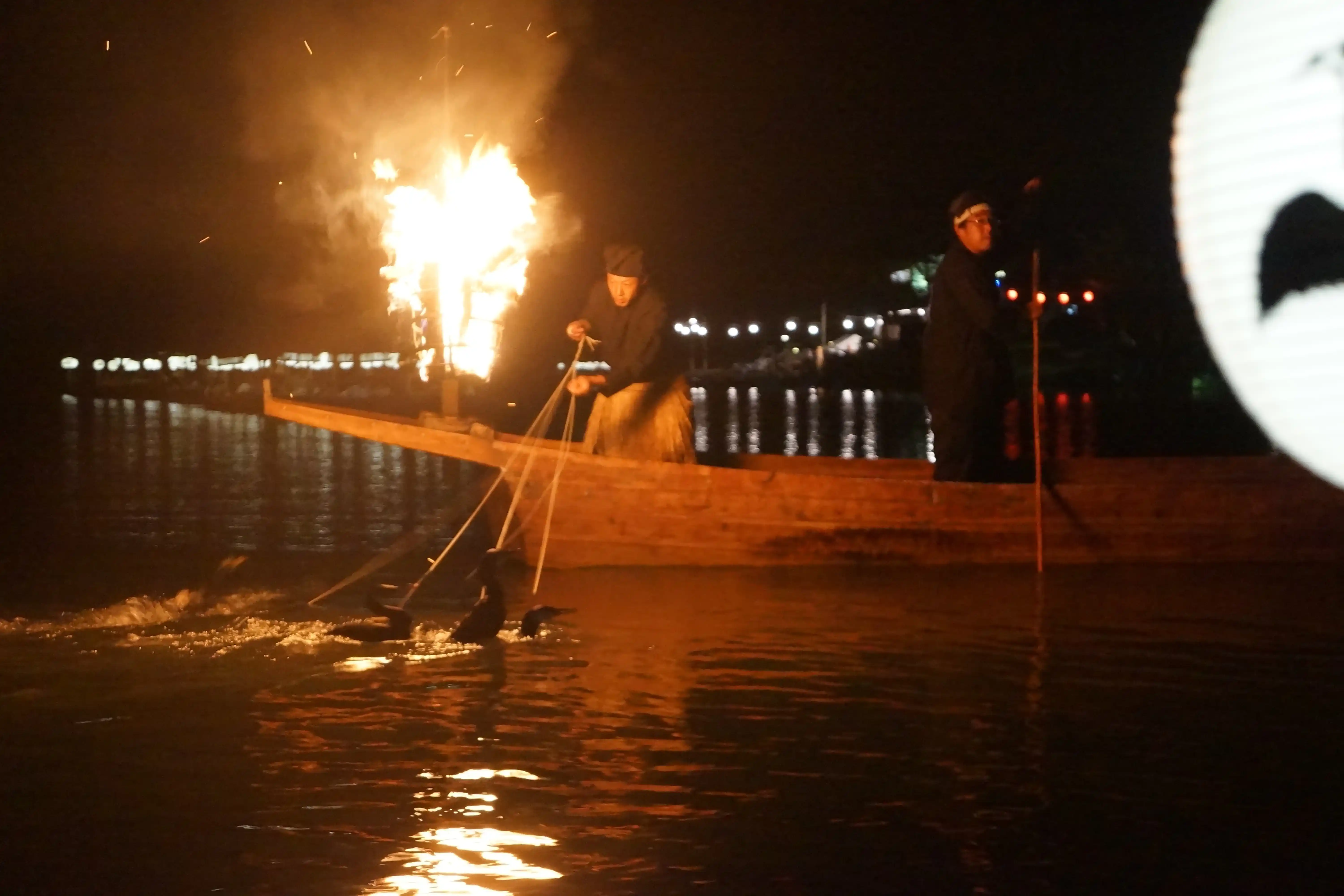 Наблюдение за рыбной ловлей с помощью бакланов