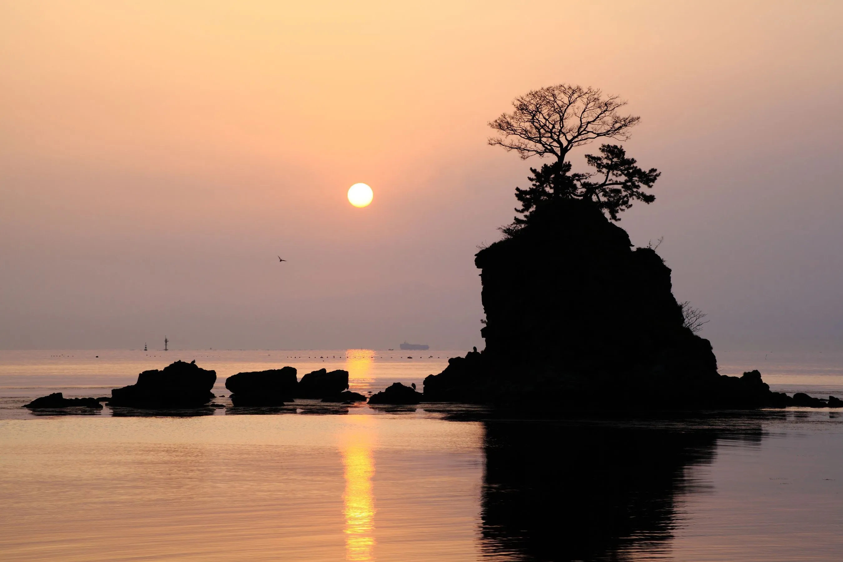 ЖИВОПИСНОЕ ПОБЕРЕЖЬЕ АМАХАРАСИ В ТОЯМЕ