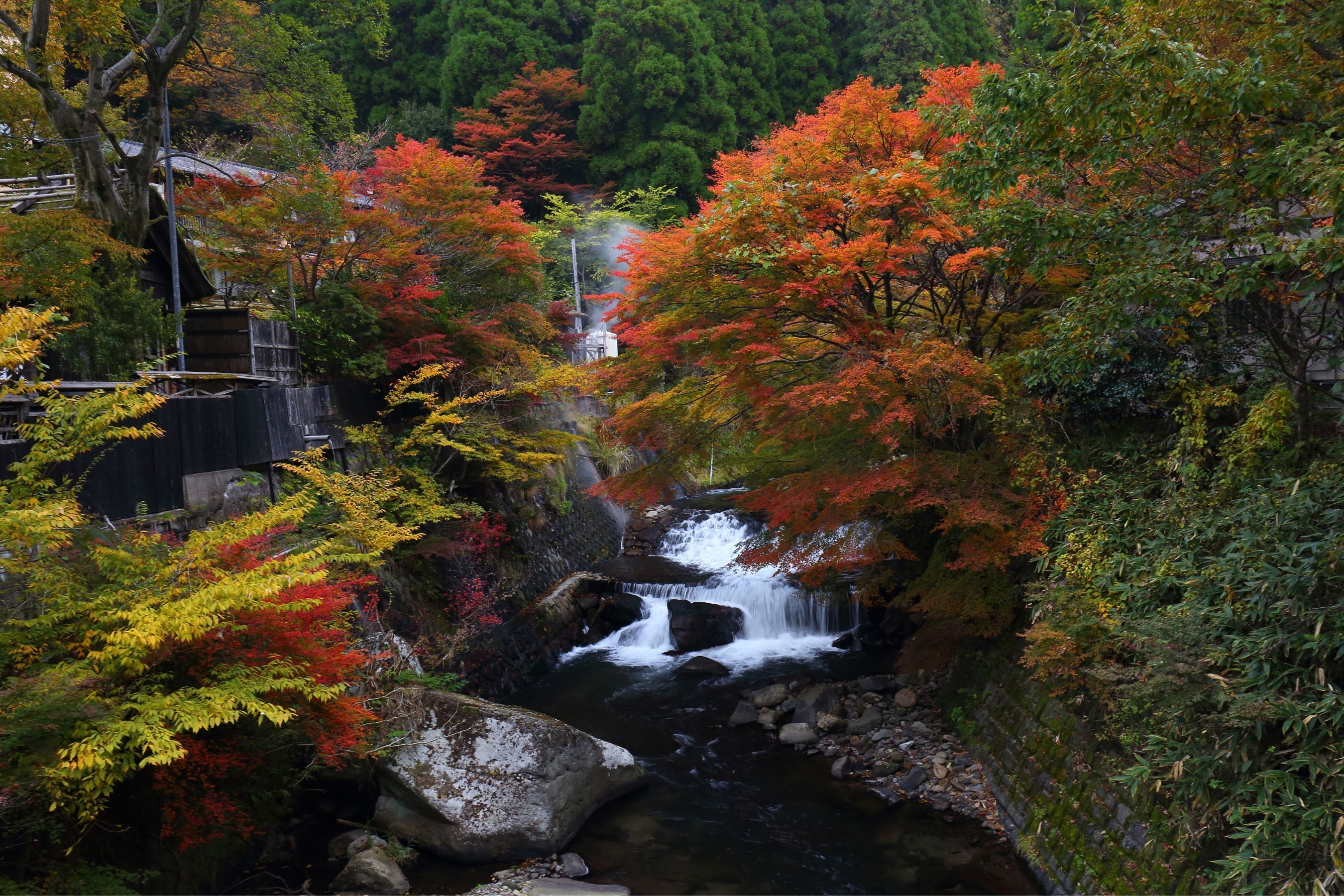 КУРОКАВА ОНСЭН: МИШЛЕНОВСКИЙ ОТДЫХ НА ХОЛМАХ КУМАМОТО